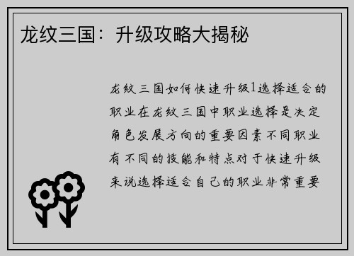 龙纹三国：升级攻略大揭秘